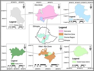 Impact of farm mechanization on crop productivity and economic efficiency in central and southern Oromia, Ethiopia